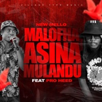 Malofha Asina Mulandu (feat. Pro Heed) - Single - New Mello