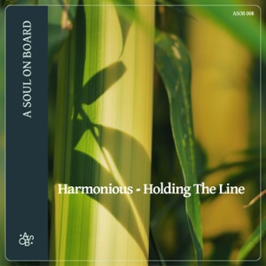 Holding the Line - Single