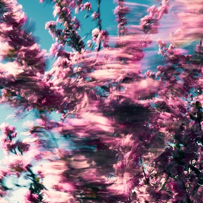 03/My Year - Single