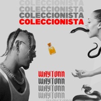 COLECCIONISTA - Single - WAYTONN