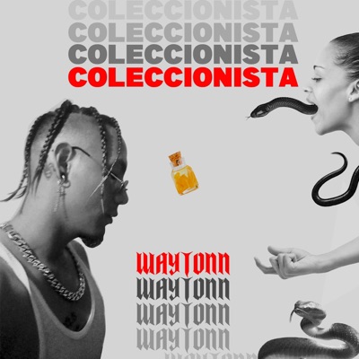 COLECCIONISTA - Single
