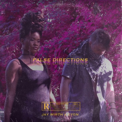 False Directions - Single