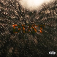 Dust - Single - Roo LeGarcon