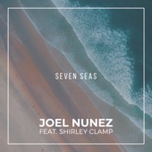 Seven Seas (feat. Shirley Clamp) artwork