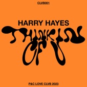 Harry Hayes - Thinkin of U