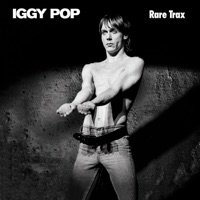 IGGY POP - Lyrics, Playlists & Videos | Shazam