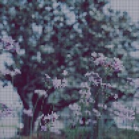 Lmbl - EP - Maple