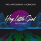Hey Little Girl The Antipodeans vs ICEHOUSE Remixes Single
