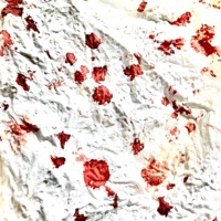 It's All Nonsense - Single - Snoozyshemp