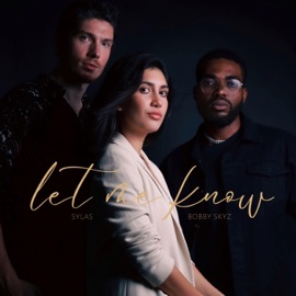 Let Me Know Bobby Skyz & SYLAS