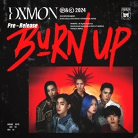 Burn Up
