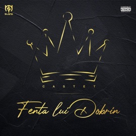 Atitudine de maidan (feat. Sven & Viktor) Castet