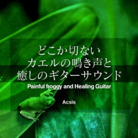 Painful froggy and Healing Guitar vol.12, Anime Song Collection - EP