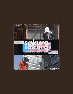 dshbrd을(를) 듣고, 뮤직 비디오를 보고, 약력을 읽고, 투어 일정 등을 확인하세요!