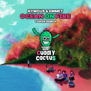 Ocean on Fire (Torok Remix Extended)