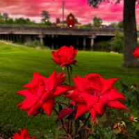 Scent - Single - Zainn.mp3