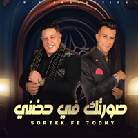 صورتك في حضني ( نور عيوني انتي صحبتي وبنتي ) [feat. Essam Sasa] - Single - Hamo Bika