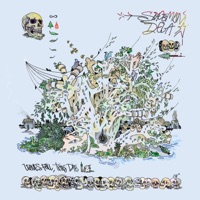 Leaves Fall, Trees Die - Single - Spaceman Dela