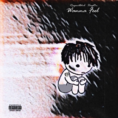 Wanna Feel (feat. Hayd3n) - Single