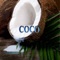 Coco - Levi Menezes lyrics