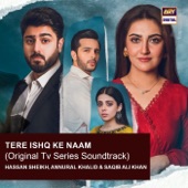 Tere Ishq Ke Naam (Original TV Series Soundtrack) artwork