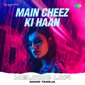 Main Cheez Ki Haan (Melodic Lofi) artwork