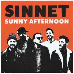 Sunny Afternoon (Stereo B / W Extended Mono Mix) - Single