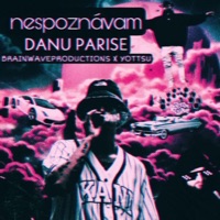 Nespoznávam - Single - DANU PARISE, brainwaveproductions & Yottsu