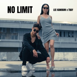 NO LIMIT TRAY
