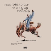 NADIE SABE artwork