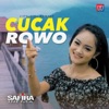 Cucak Rowo - Single