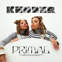 Primal (DJ Mix) - Kinder