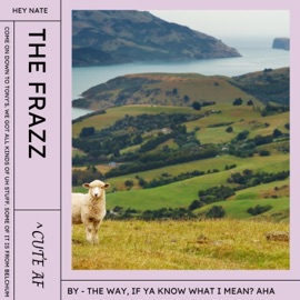 The Frazz (Theme) Hey Nate