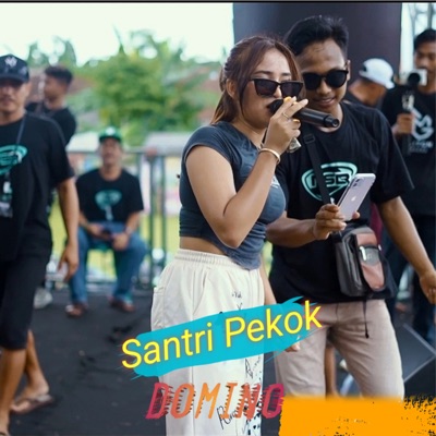 Santri Pekok - Single