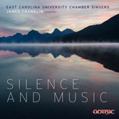 Silence and Music artwork
