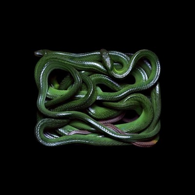 Rattle (Fidia) - Single