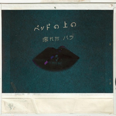 Broken Roses - Single