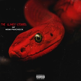 Rah Rah Shit (feat. Lil Johnnie) MDM Paycheck