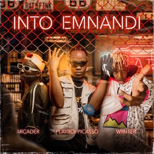 Into Emnandi (feat. Arcader)