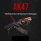 Ak47 artwork