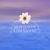 Reconnect with Nature: Soothing Sounds for Relaxation and Healing