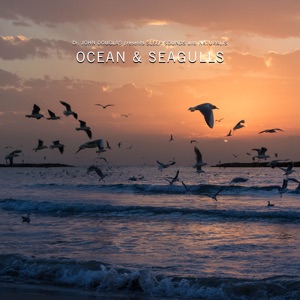 Ocean & Seagulls