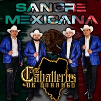 Album cover for Camilo by Los Caballeros de Durango