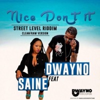 Nice Dont It - Single - Dwayno