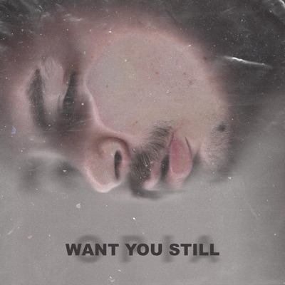 Want You Still - Single