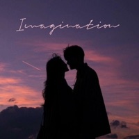 Imagination - Single - 寒冰Ice
