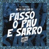 Passo o Pau e Sarro - Single