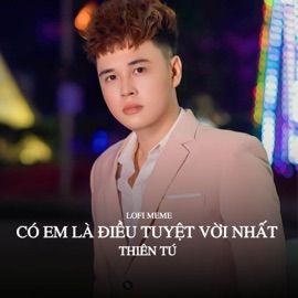 Có Em Là Điều Tuyệt Vời Nhất (Lofi MeMe) Thiên Tú & MeMe Media