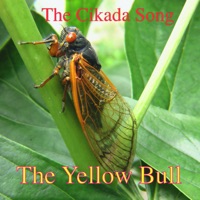 The Cikada Song (feat. Dag Kajander & Markus Dvergastein) - Single - The Yellow Bulls