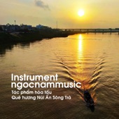 Lời ru Sông Trà - instrument artwork